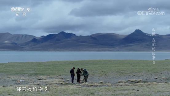 蒙草生态报告,蒙草生态独有优势