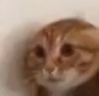 天涯怎么重启,天涯社区直播自救