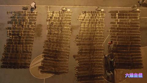 抓捕过最长的蟒蛇,最长蟒蛇视频真实