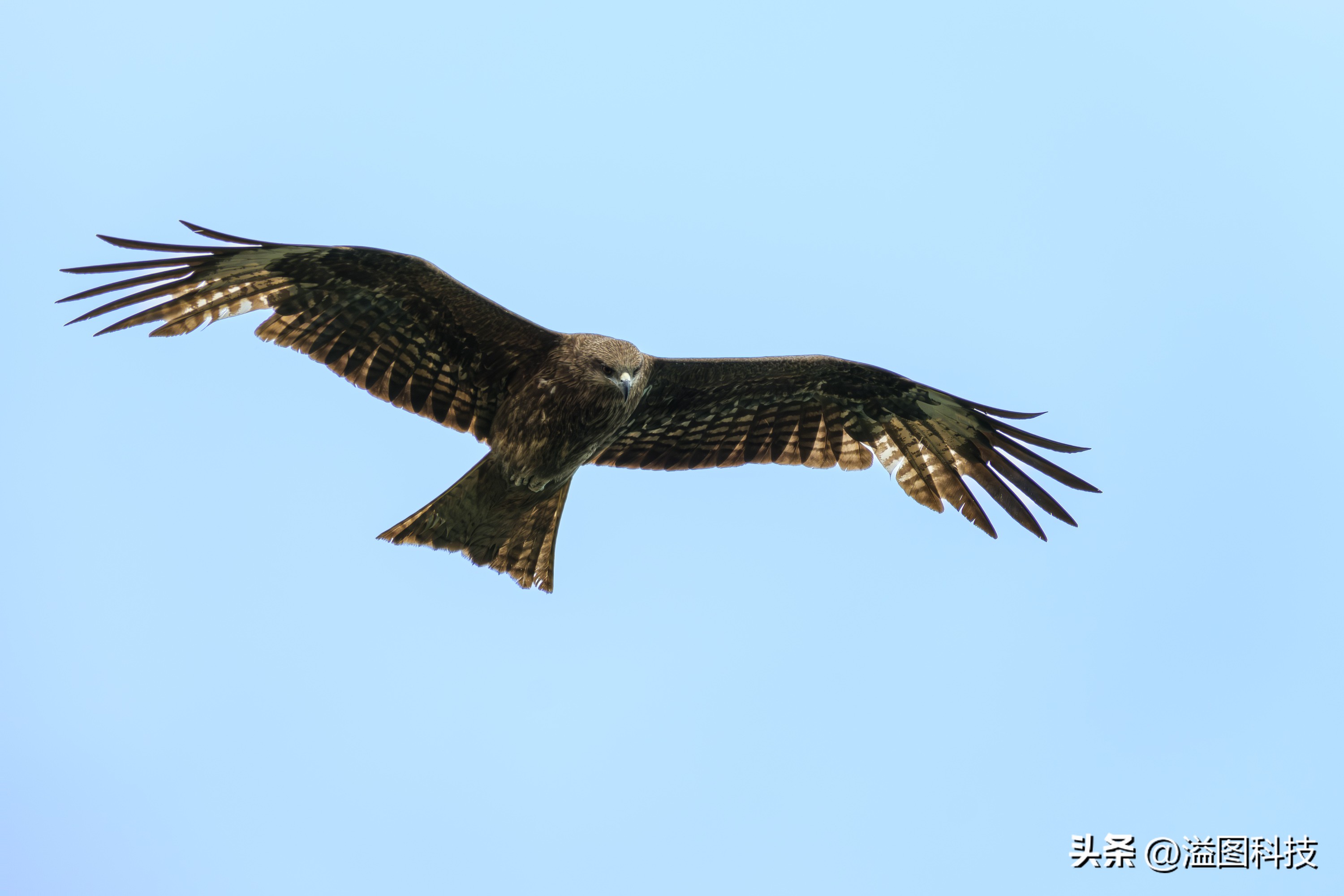 富士x-s20怎么原价购买,富士x-s20单机身价格