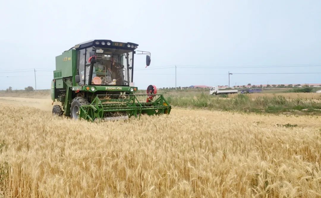河南中小学优质课公布，郑州数百教师上榜/今天还有暴雨，河南气象台紧急提醒/事关未成年人，下月起从严惩处