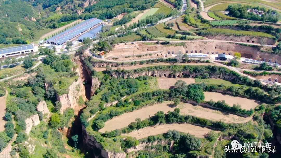 “我们这十年”丨崆峒：“畜”势勃发“牧”歌欢唱