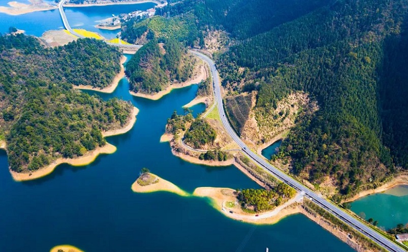 杭州旅游必去十大景点推荐一下,杭州看花好去处杭州网红景点