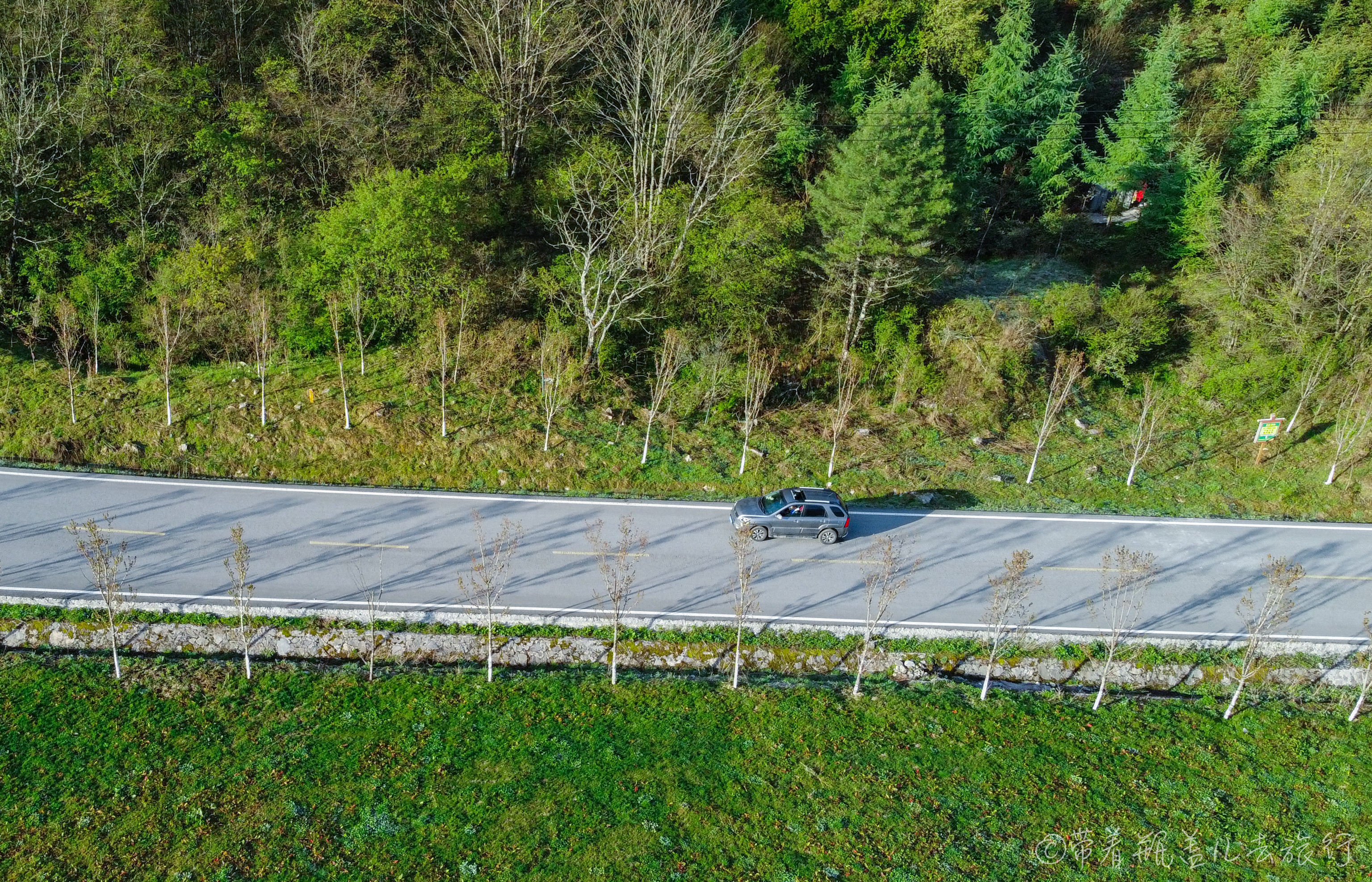 巫溪红叶自驾游,巫溪红池坝云中花海景点讲解
