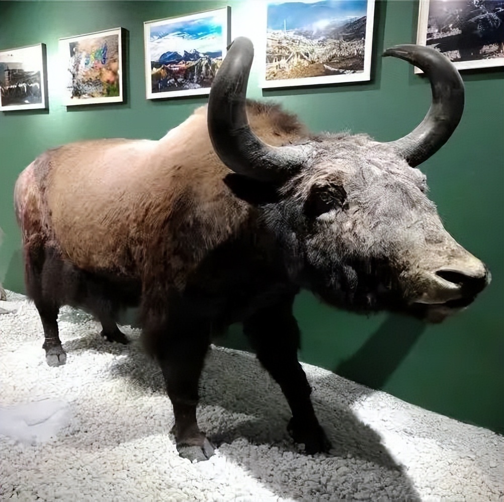 【FENG娱】王佐镇：娱乐+科普+自然，暑假解锁亲子出游新方式！