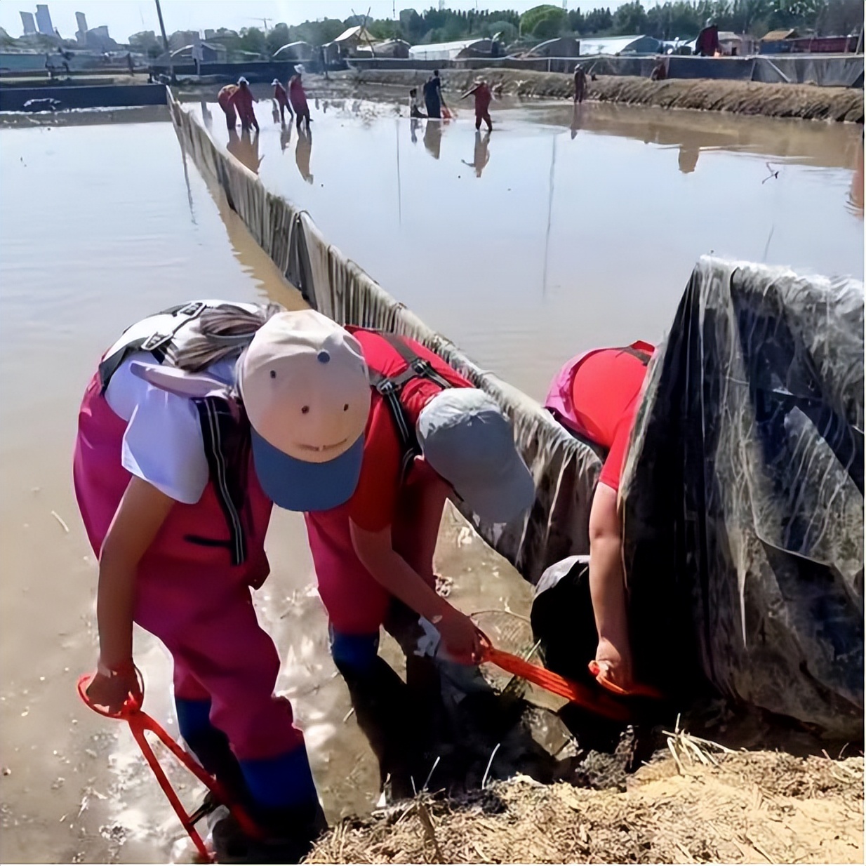 暑期实践日志200字,暑期实践日志十五篇大学生