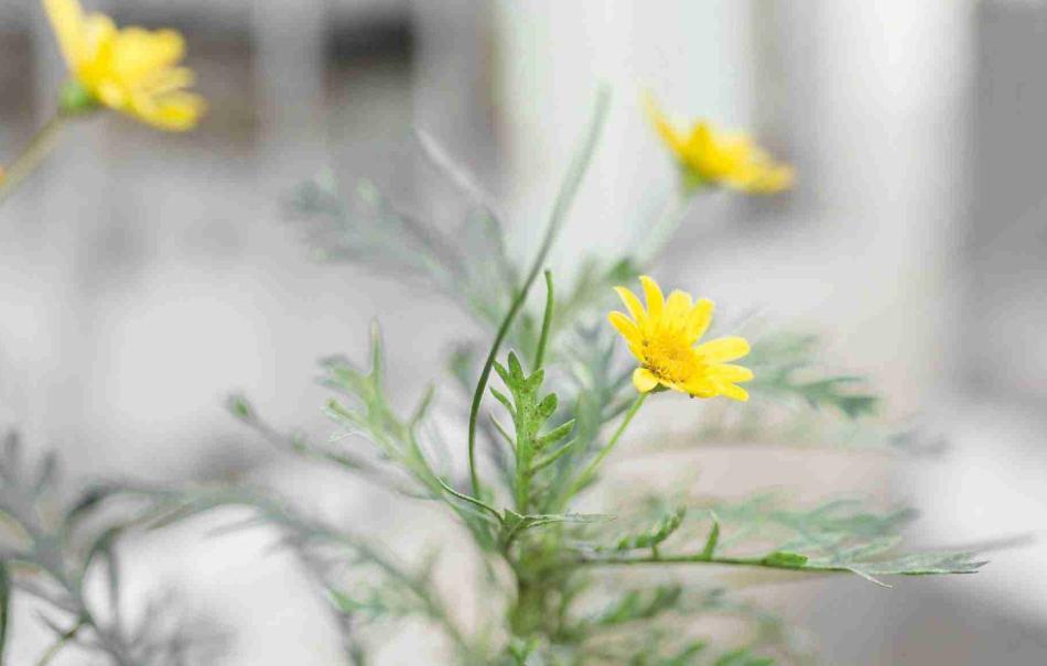 一个家庭和谐就取决于有钱吗,家庭在未来越富有的三种表现