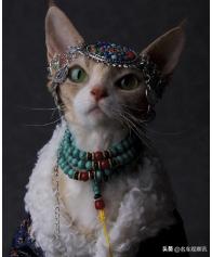 年轻人眼中的沃尔沃,选择沃尔沃就选择了安全