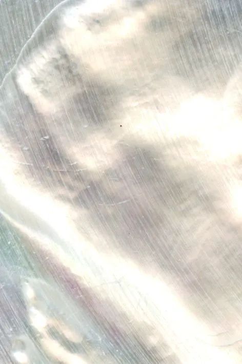 宝石也开始内卷了?做成珠宝or腕表,你Pick哪一个?