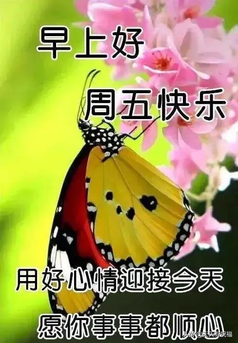 微信特好看早上好问候语表情图片,早上好微信动态表情精美图片大全