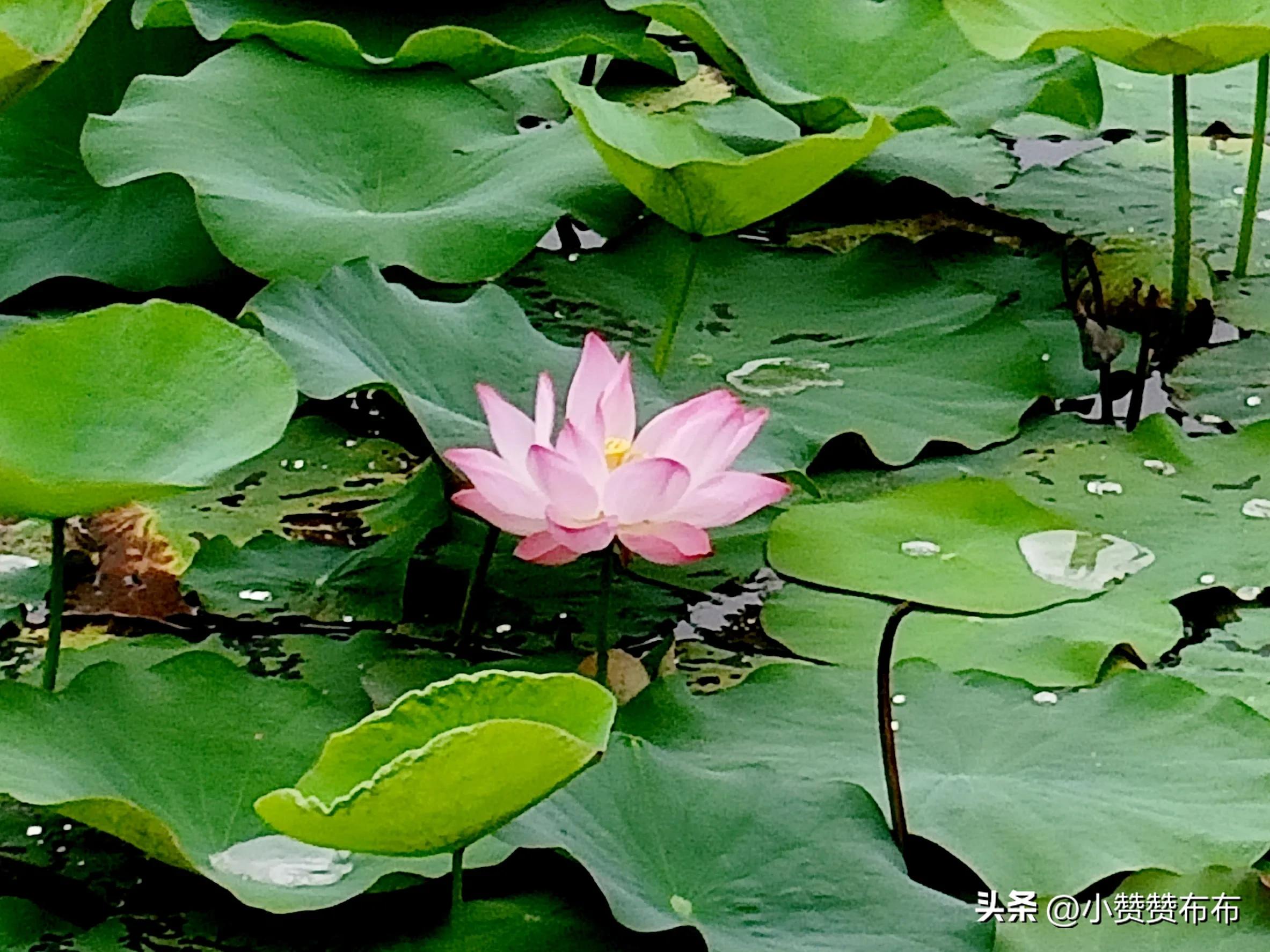 40多岁儿子不养父亲,还向86岁父亲索要60万,被拒绝后扇父亲耳光