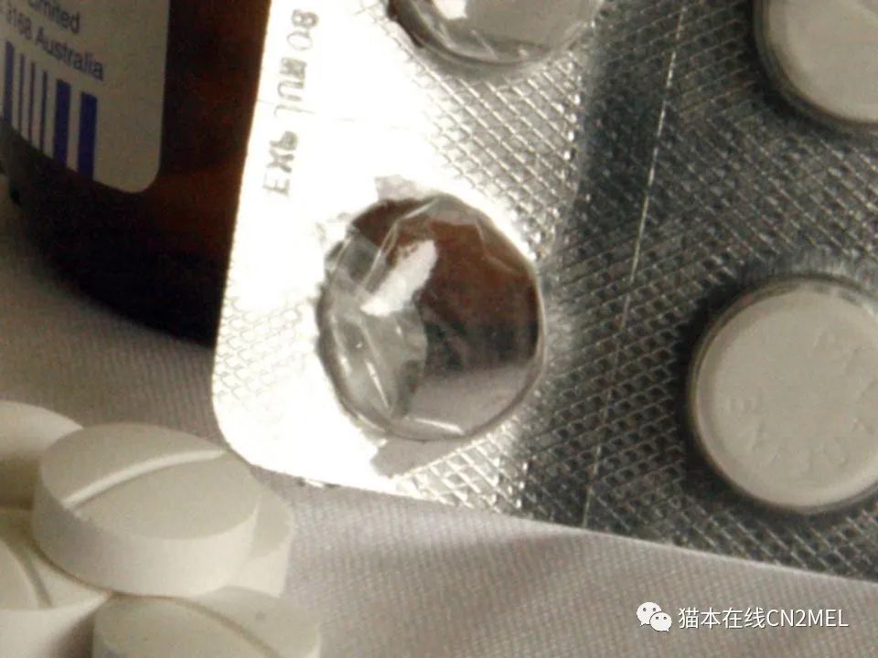 莫纳什大学药理学世界第一,莫纳什大学制药成果