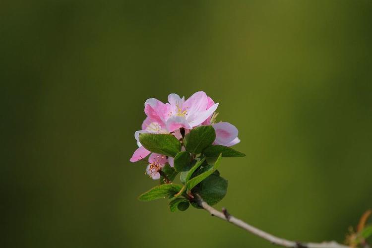 清理垃圾的最好办法,人要懂得及时清理垃圾