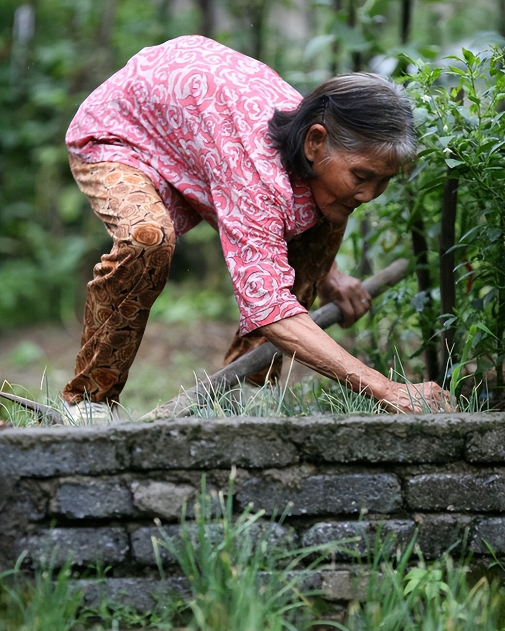 江西一小伙和81岁的老太拍婚纱,江西25岁小伙跟老妈拍婚纱照