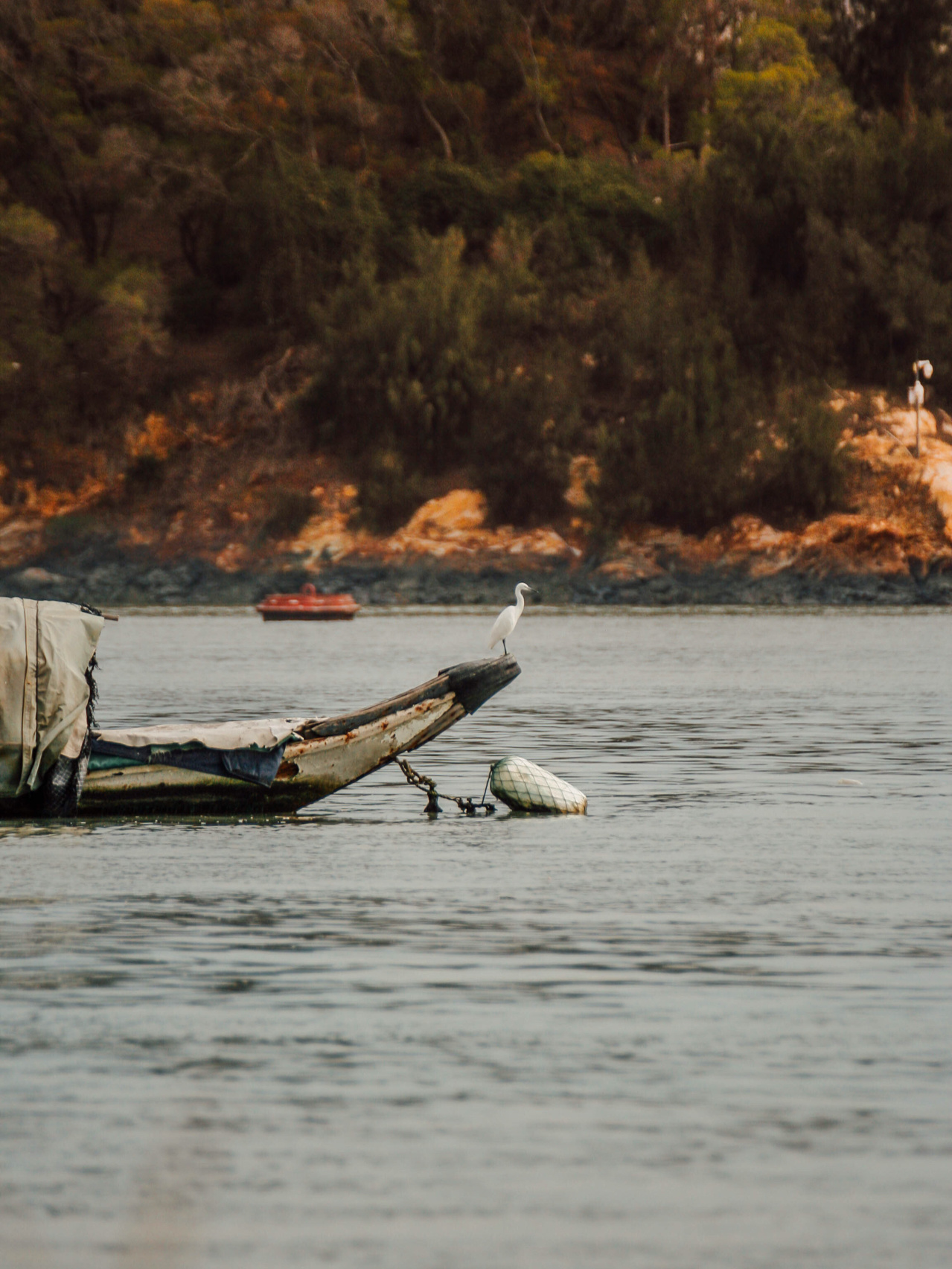 150左右的二手相机,佳能二手性价比高的单反相机