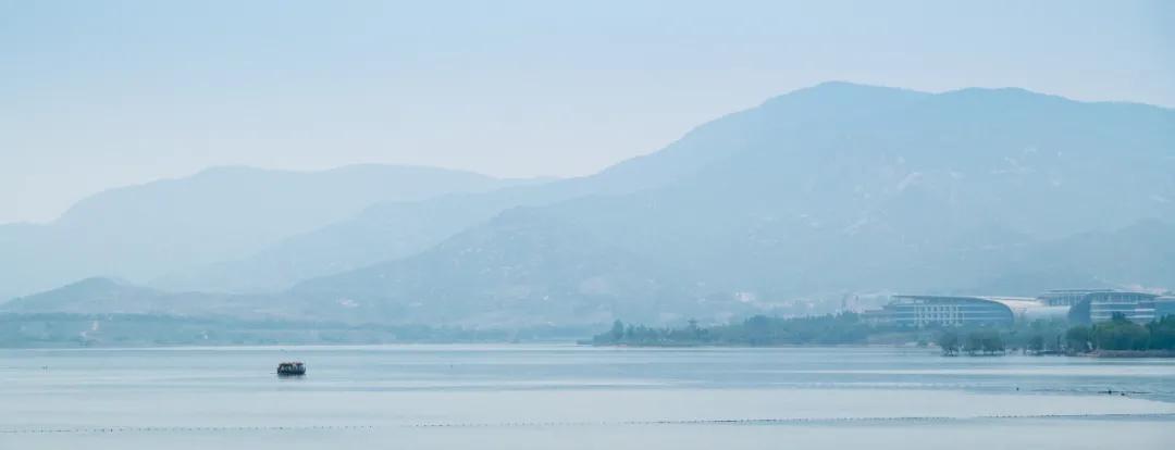 济南的春天来了吗,济南春天来了