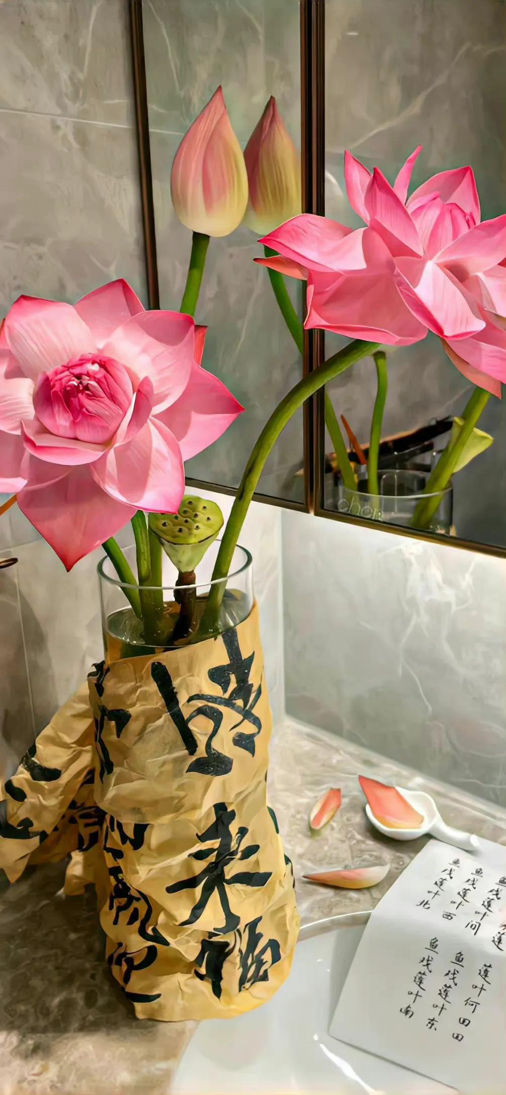 荷花荷叶壁纸图片大全,荷叶手机壁纸高清图片