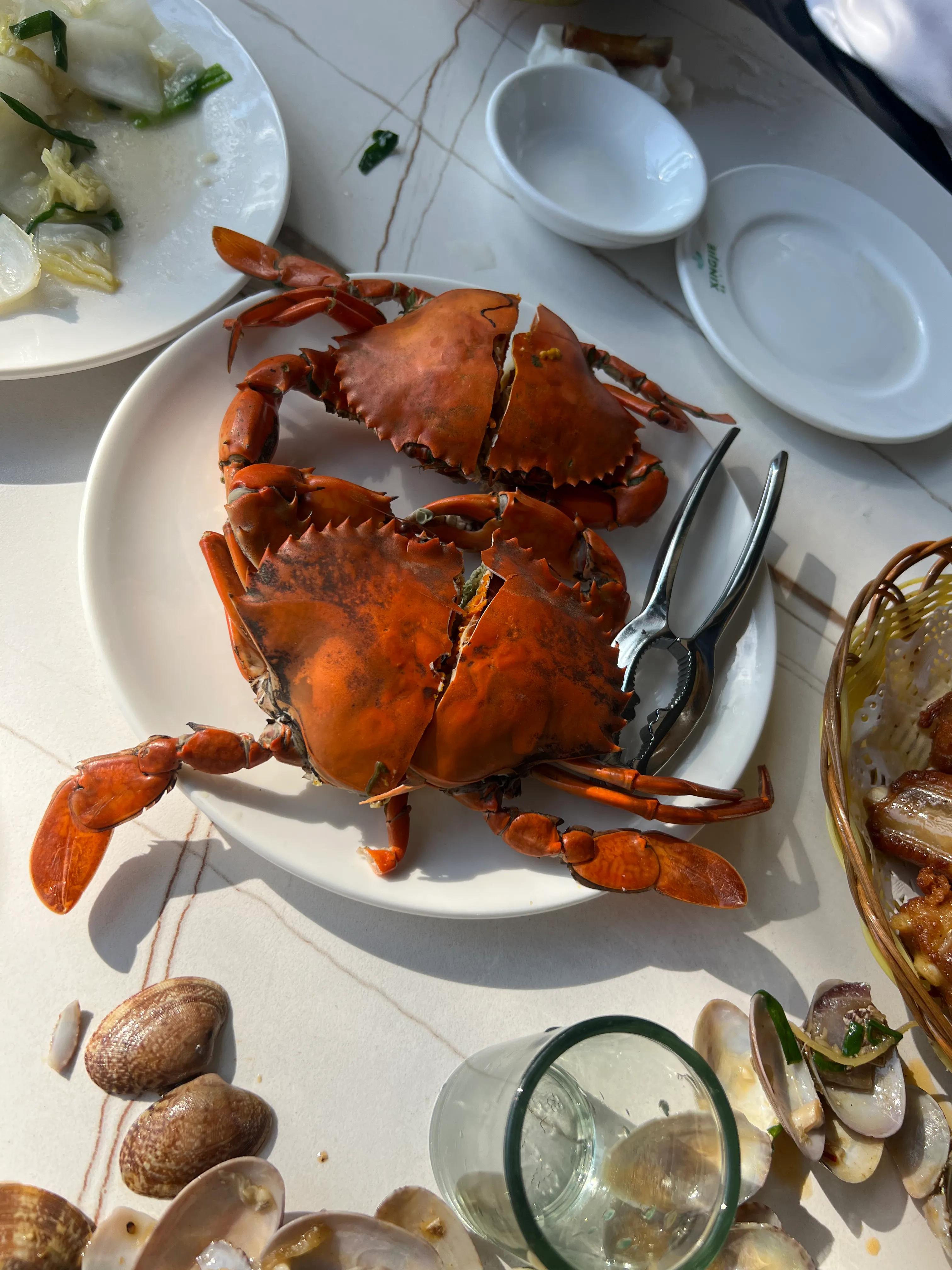 三亚春节自由行攻略,春节三亚旅游攻略自由行攻略