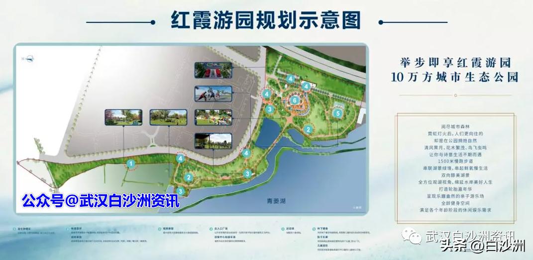 遗憾！青菱红霞游园不能建设足球场