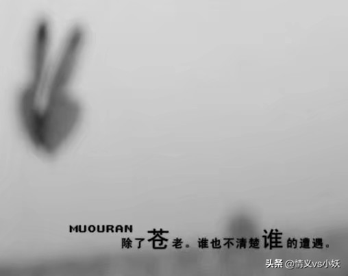 浪子无情改版,浪子无情原版