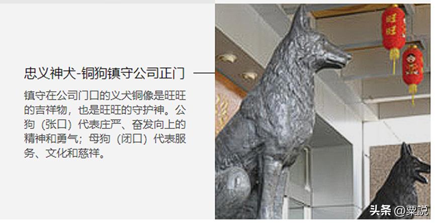 中国旺旺食品有限公司的视频,台湾旺旺企业