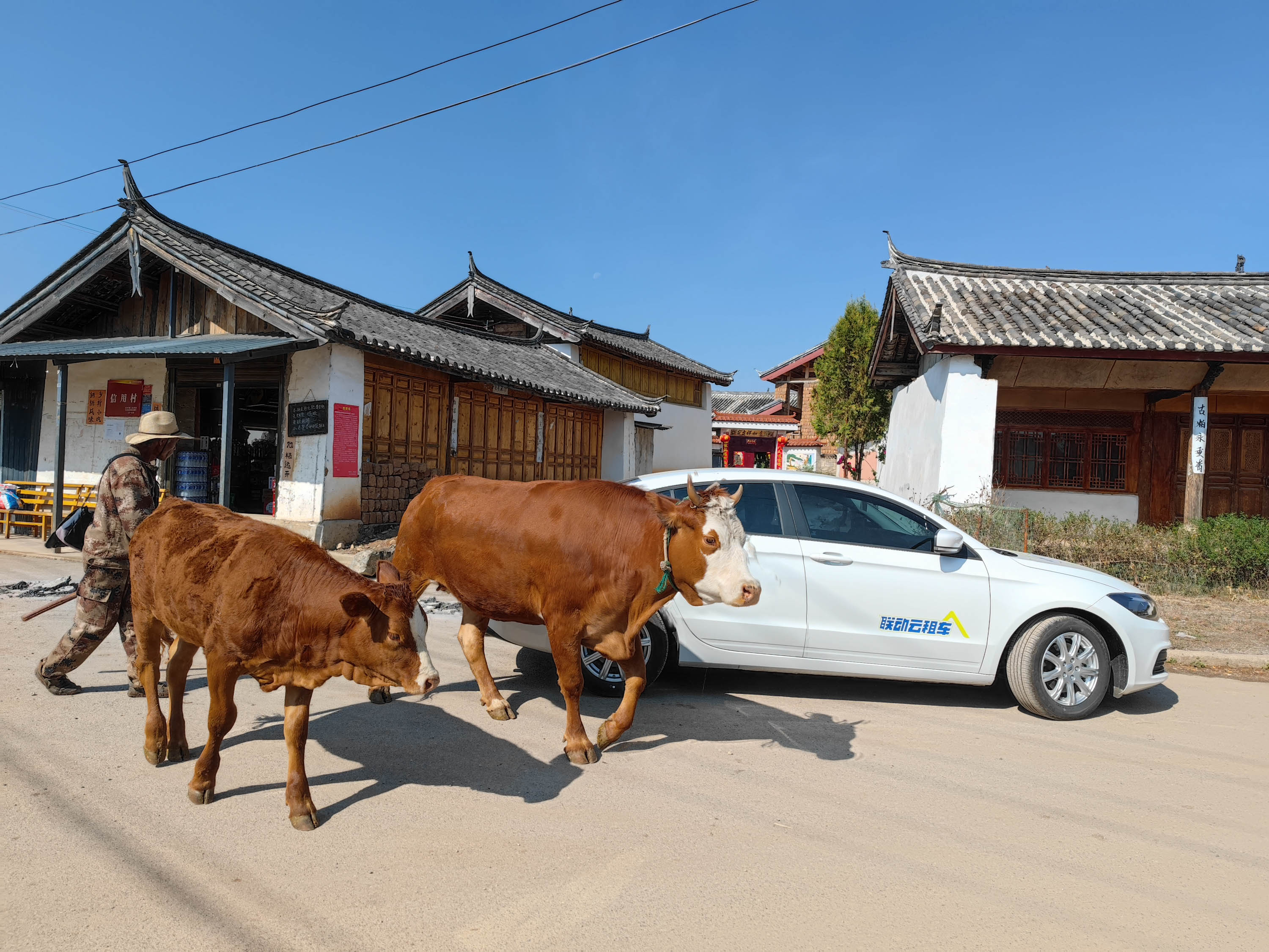 去云南跟团一日游攻略图片大全集,云南六日游跟团路线攻略大全