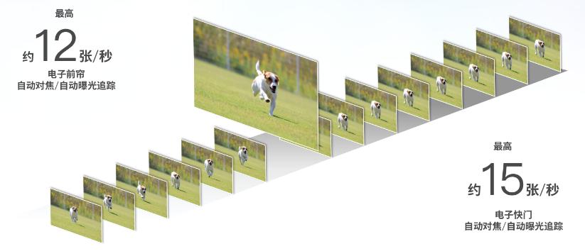 佳能r5018-45mm镜头测评,后疫情时代的旅游