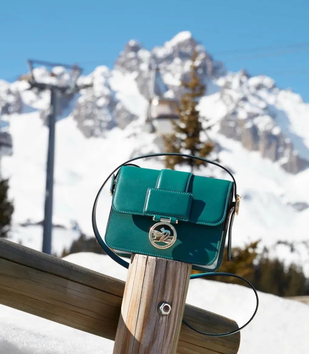 longchamp珑骧女包手提饺子包,longchamp除了珑骧还有什么款式