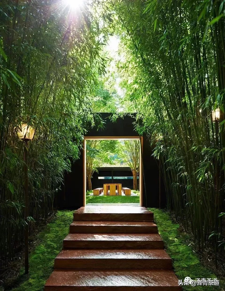 三伏天一定要知道的健康小知识,三伏天健康攻略