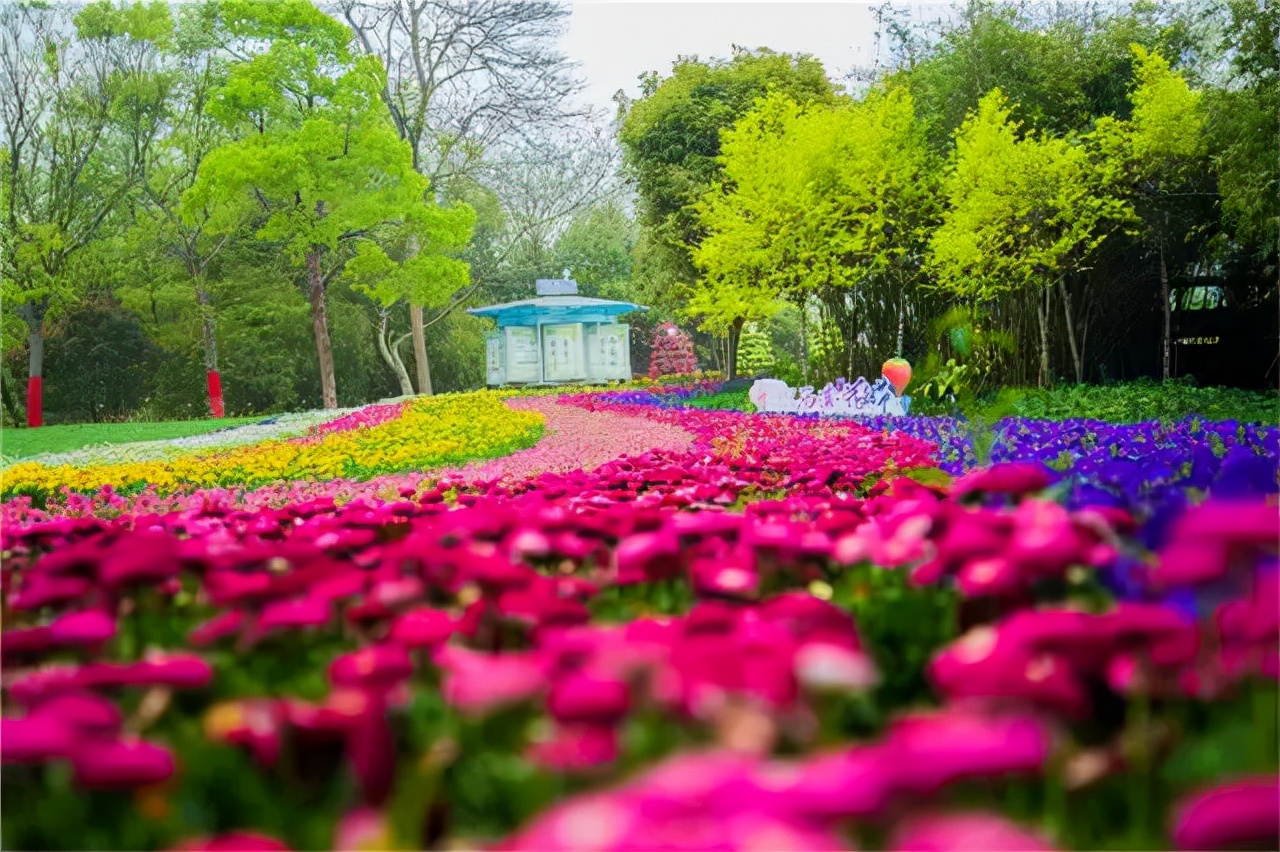 园林景观设计的五大环节,干货园林植物景观设计之空间设计