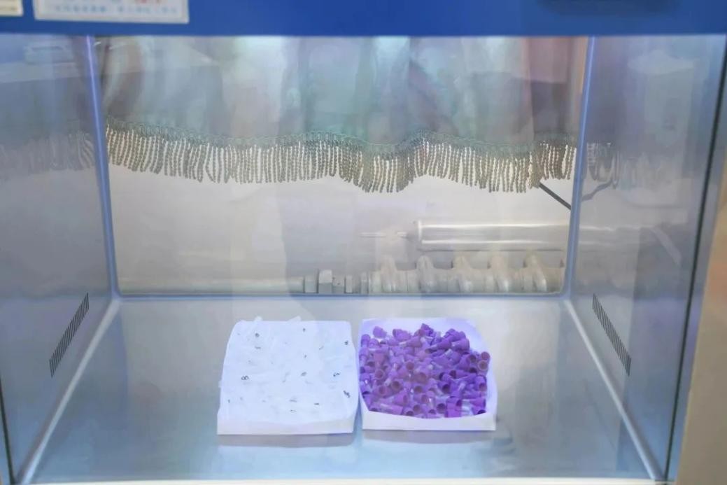 抗原自测盒手工制作,抗原检测盒手工制作