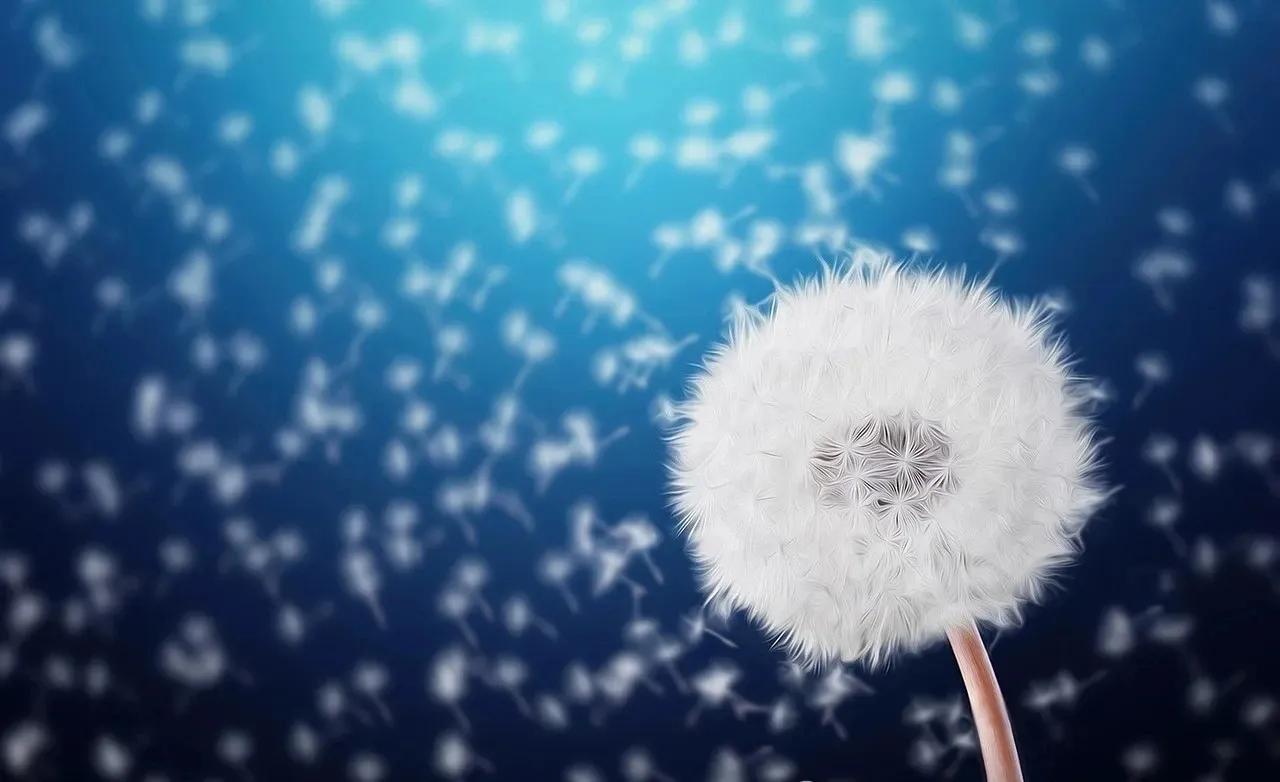 人生万事只有半称心,人生短暂不如万事付之一笑