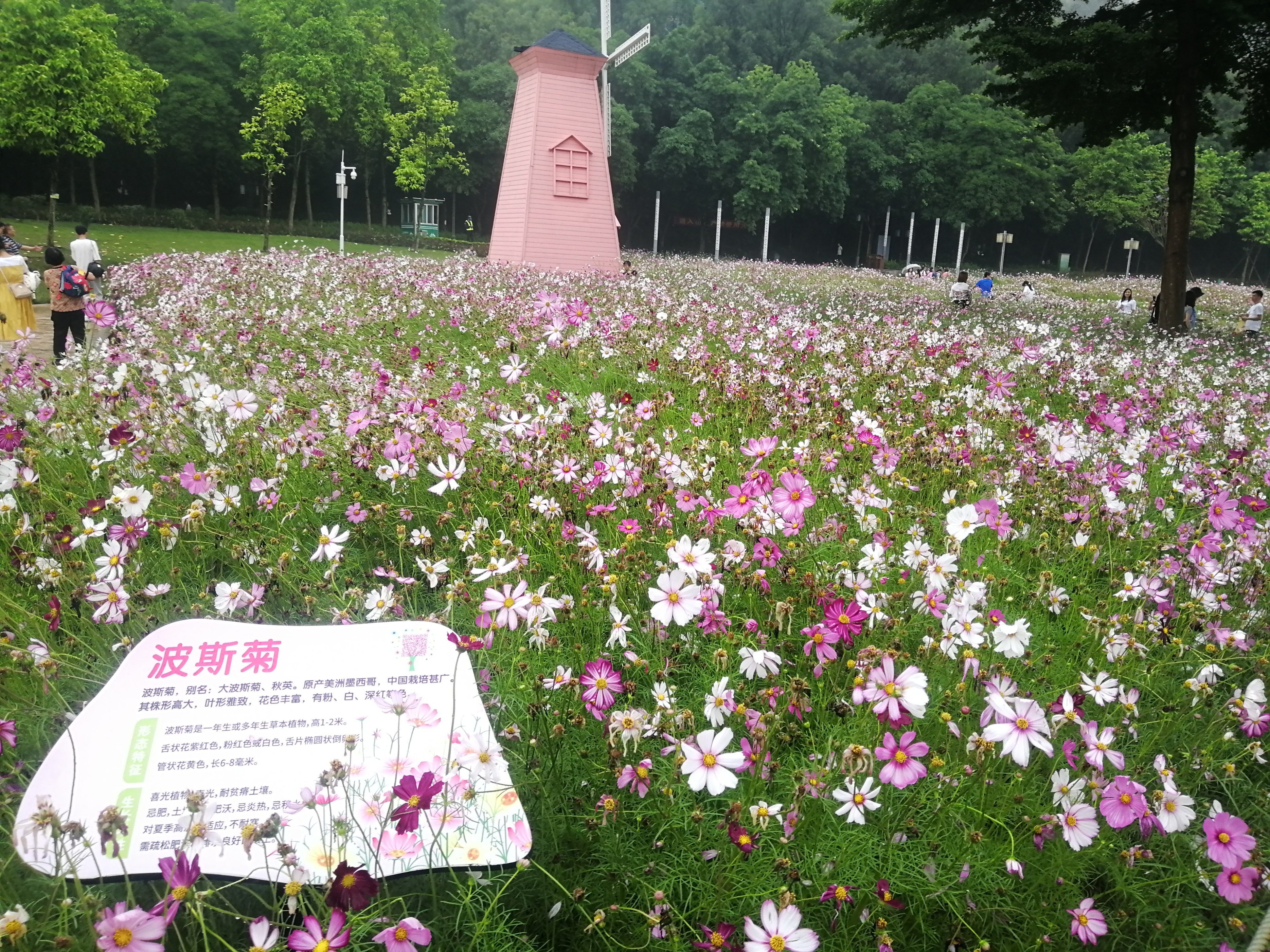 打卡广州地铁7号线,打卡广州最美7公里