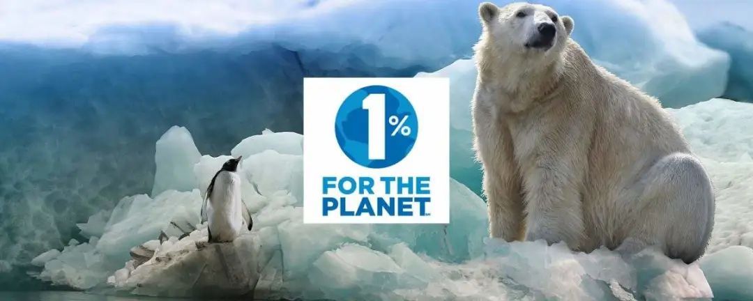 品牌标识和品牌符号,品牌与品牌策略