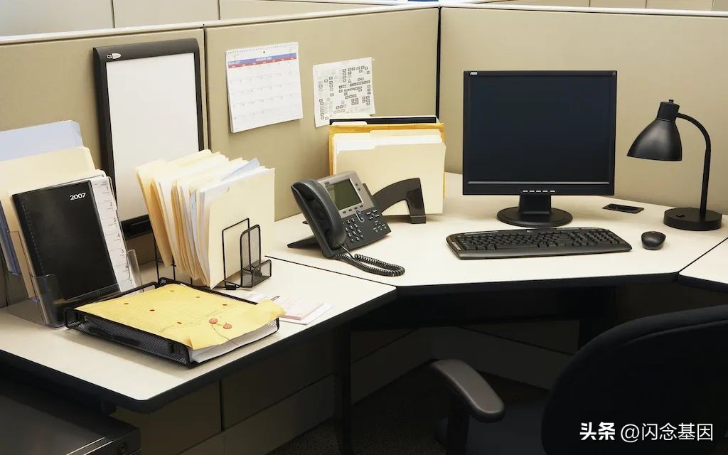 编程命名注意事项,编程最难学的5个方法