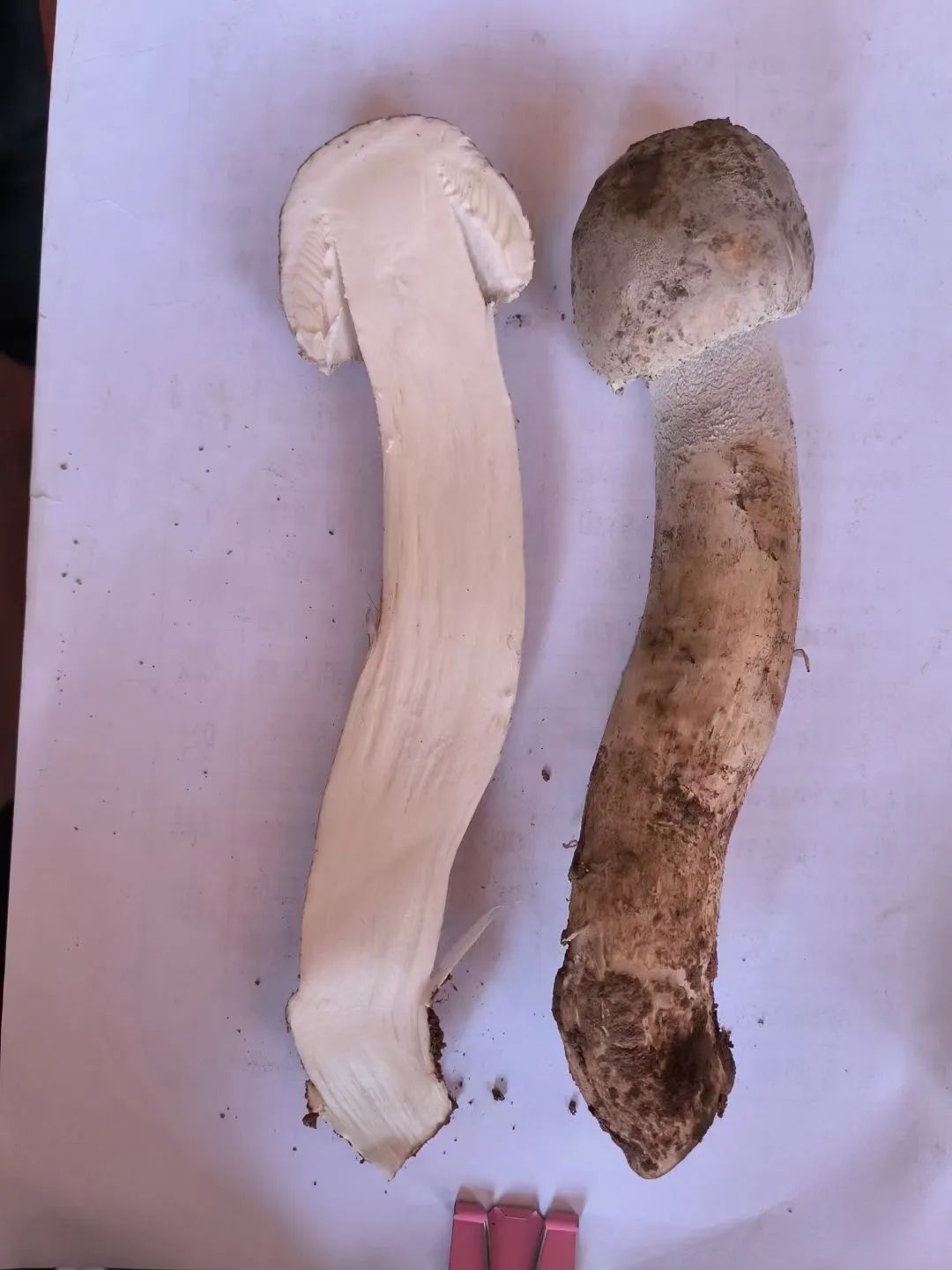 昆明市场信息大全,昆明市场资料