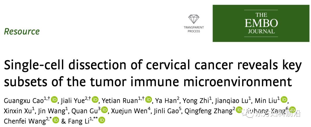 科研进展|北院妇科课题组在EMBOJ发表高水平文章