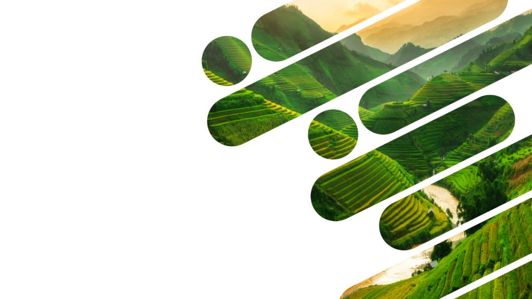 ppt一张图片排版高级感具体操作,ppt高手在用的9个图文排版套路