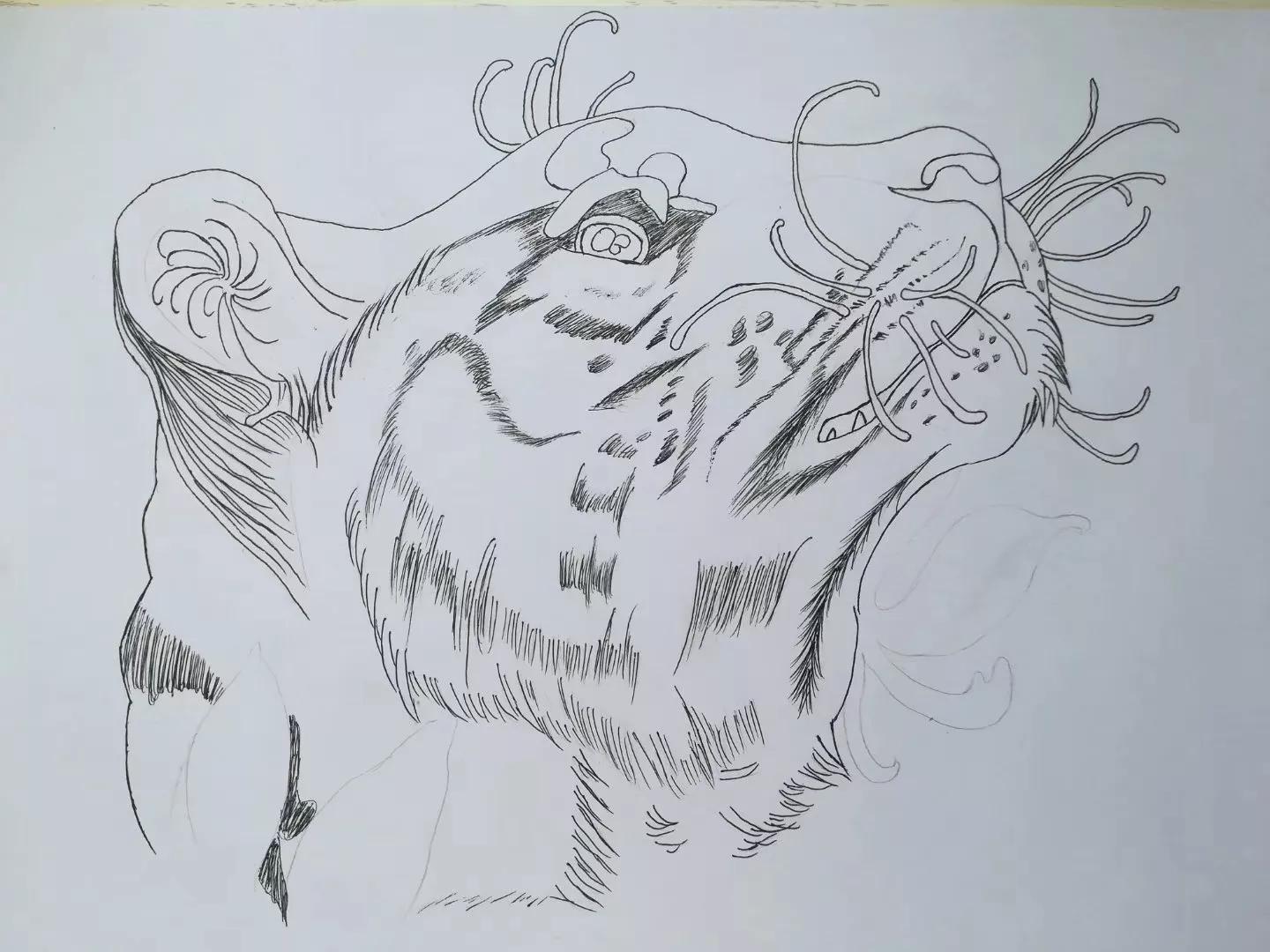 水彩笔画四大神兽,水彩12色入门简笔画