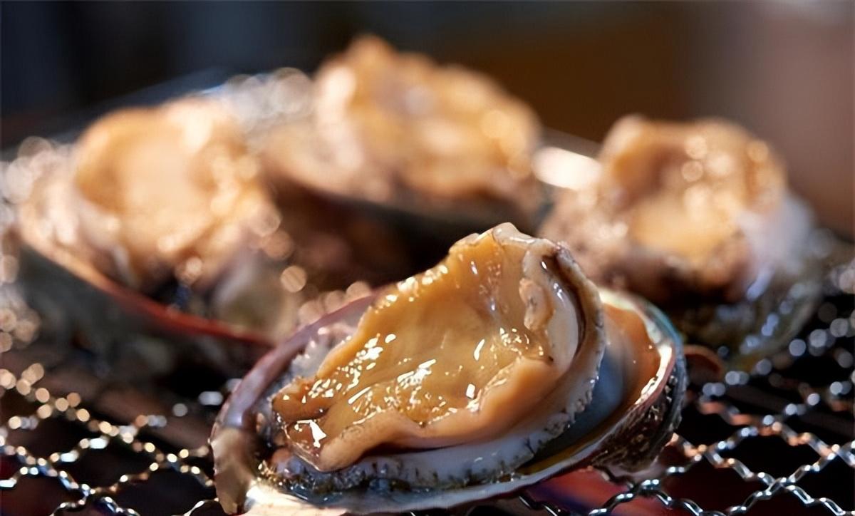 鲍鱼为什么比蛋黄鲍便宜,干鲍贵还是鲜鲍鱼贵