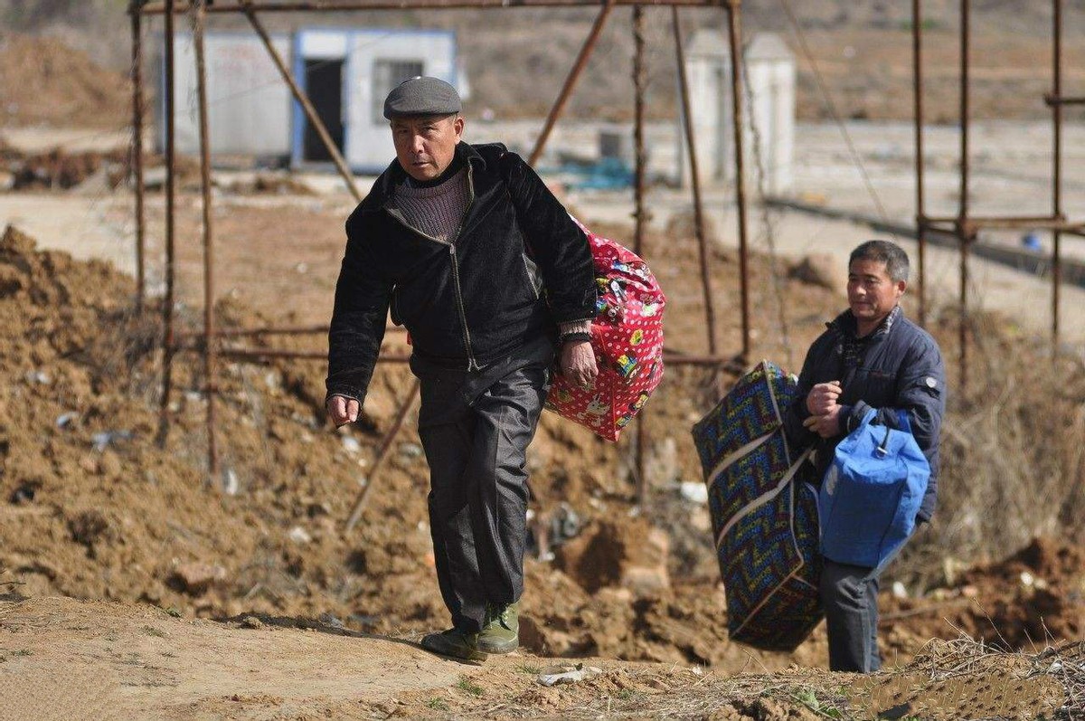 “曹满饿死牛”有没有道理？为什么喂牛的时候要少量多次？