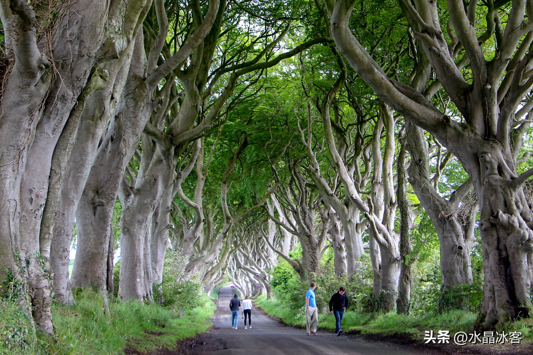 英国爱尔兰苏格兰旅游攻略,苏格兰爱尔兰北爱尔兰