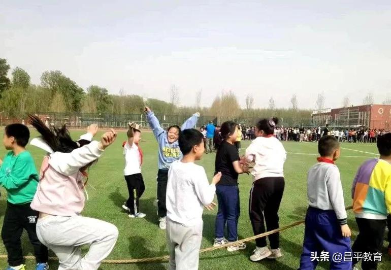 赋能于师丨城区学区在行动!