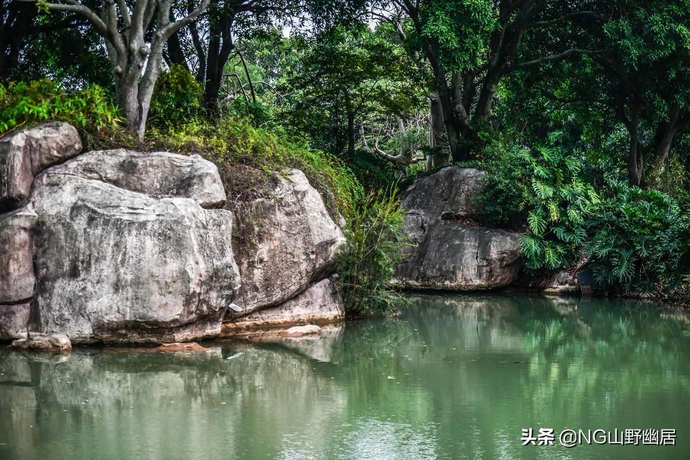 厦门最奢侈度假村,厦门野奢度假村
