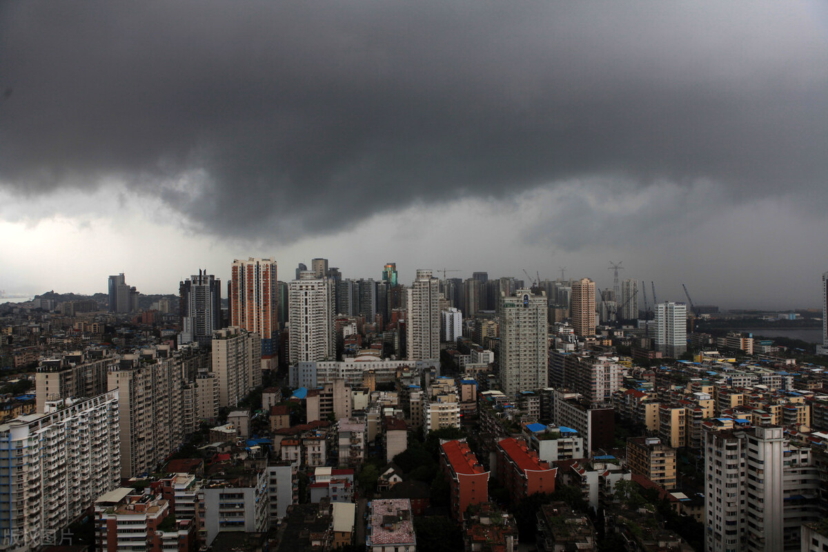 主角有妄想症的小说,四本男主杀伐果断的小说