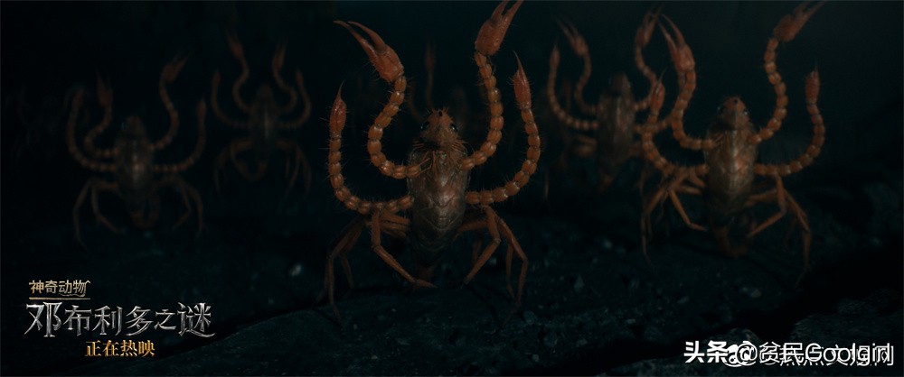 神奇动物之邓布利多之谜免费观看,神奇动物邓布利多之谜彩蛋