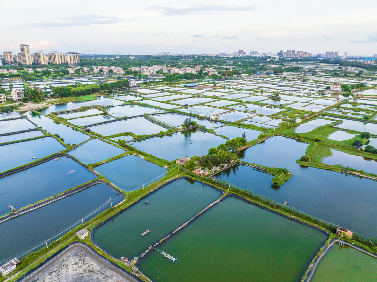 男子放弃高薪工作回农村开荒60亩,男子放弃高薪工作
