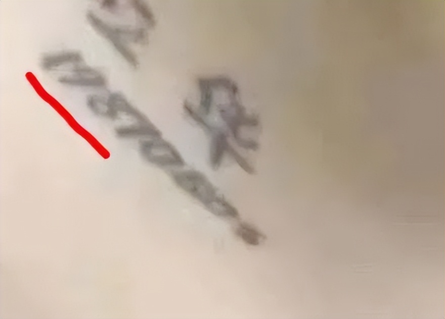 被PUA的恋爱脑：在胸上纹35岁男友名字