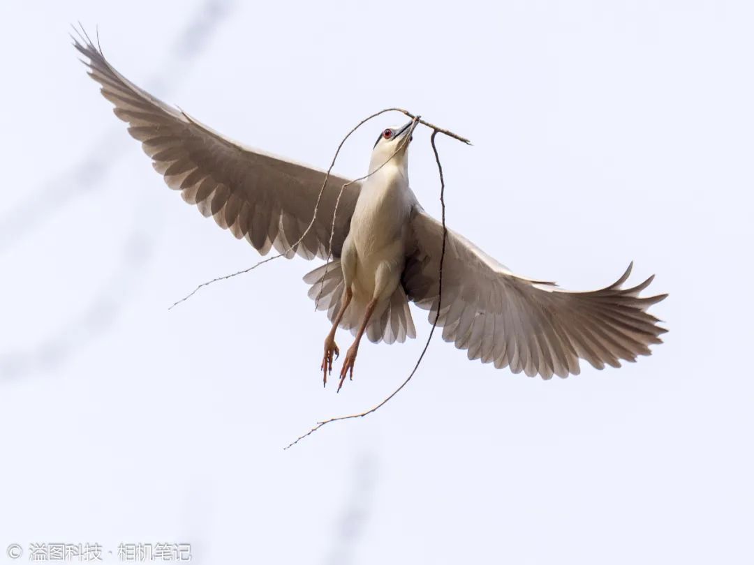 奥之心om-1深度评测,奥之心om-1销售状况