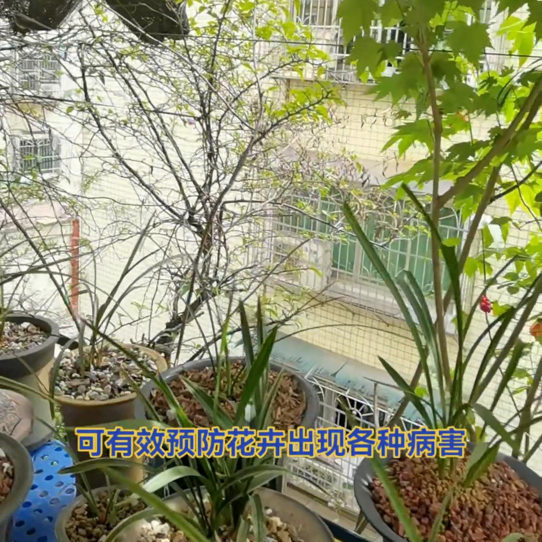 养花杀菌多菌灵,花卉怎样使用多菌灵杀菌